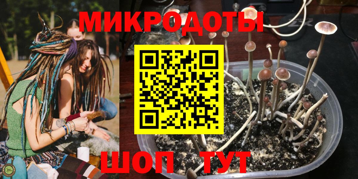 Псилоцибиновые грибы GOLDEN TEACHER  Вход с VPN  Минусинск 
