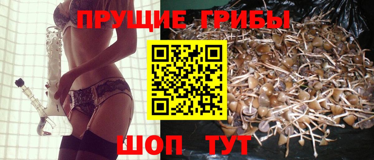 Галлюциногенные грибы ЛСД Минусинск